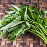 Manfaat Sayur Kangkung: Superfood Lokal yang Kaya Gizi